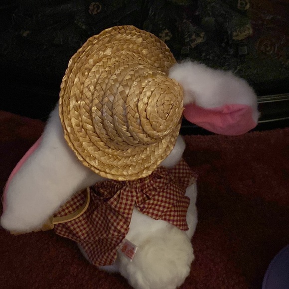 Annalei rabbits - Picture 5 of 8